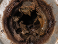 Drain NG sample