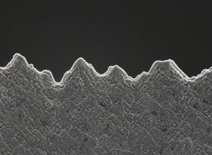 Surface roughness Rz profile (demo)